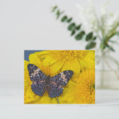 Carte Postale Papillon sur une Fleur Jaune (Debout devant)