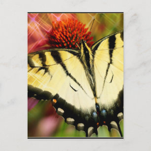 Carte Postale Papillon Swallowtail