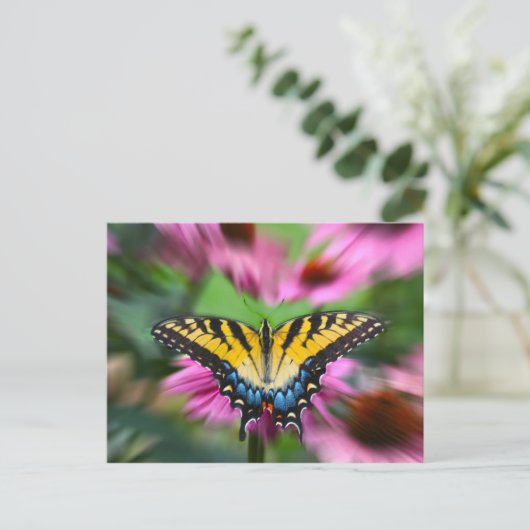 Carte Postale Papillon Swallowtail (Debout devant)