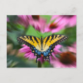 Carte Postale Papillon Swallowtail (Devant)