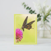 Carte Postale Papillon Swallowtail (Debout devant)