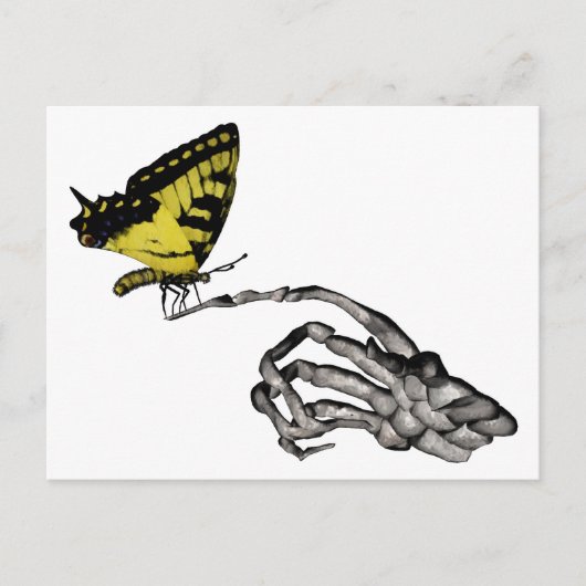Carte Postale Papillon Swallowtail (Devant)