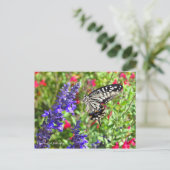 Carte Postale Papillon Swallowtail [Carte postale] (Debout devant)