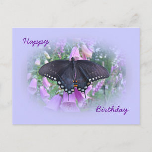 Carte Postale Papillon swallowtail de l'épice d'anniversaire