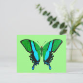 Carte Postale Papillon Swallowtail en vert, turquoise et noir (Debout devant)