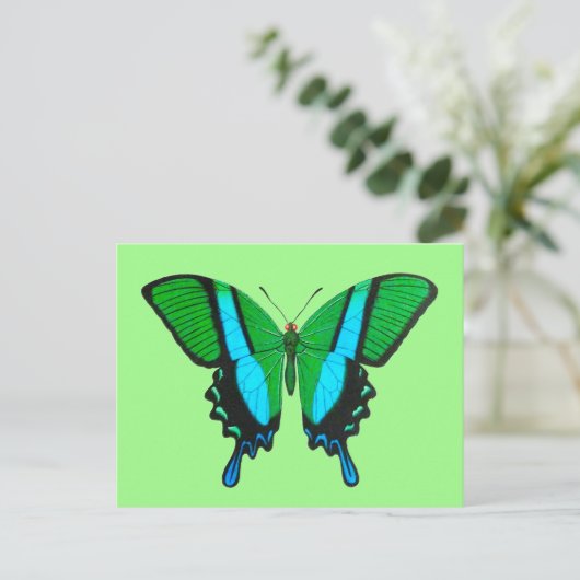 Carte Postale Papillon Swallowtail en vert, turquoise et noir (Debout devant)
