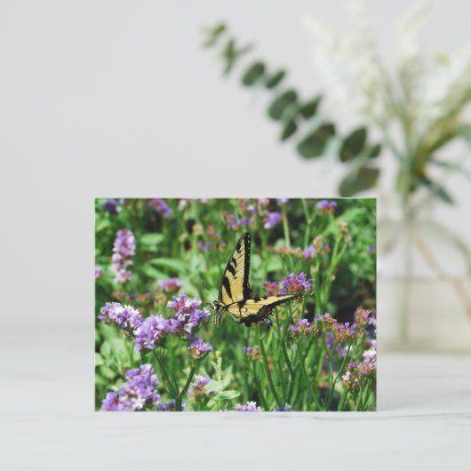 Carte Postale Papillon Swallowtail géant sur Purple Statice (Debout devant)