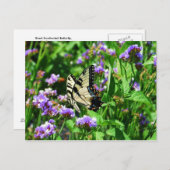 Carte Postale Papillon Swallowtail géant sur Purple Statice (Devant / Derrière)