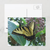 Carte Postale Papillon swallowtail I sur l'asclépiade à Shenando (Devant / Derrière)