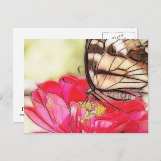 Carte Postale Papillon Swallowtail jaune sur une Zinnia (Devant / Derrière)
