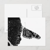 Carte Postale papillon timide blacq (Devant / Derrière)