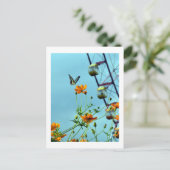 Carte Postale Papillon Triangle Bleu et fleurs de Cosmos : Japon (Debout devant)