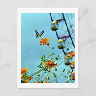 Carte Postale Papillon Triangle Bleu et fleurs de Cosmos : Japon