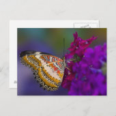 Carte Postale Papillon tropical aux fleurs violettes (Devant / Derrière)