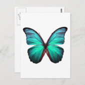 Carte Postale Papillon Turquoise brillant (Devant / Derrière)