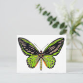 Carte Postale Papillon vert (Debout devant)
