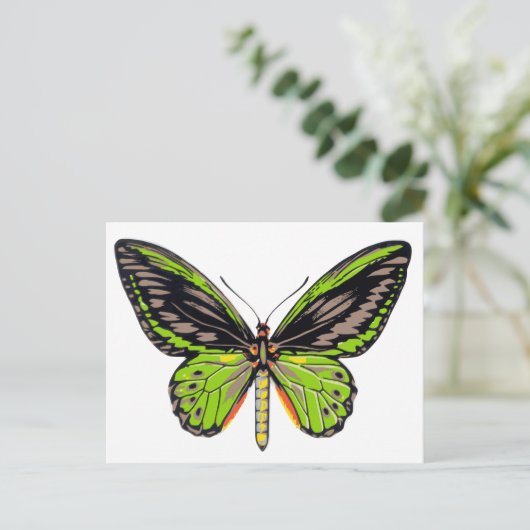 Carte Postale Papillon vert (Debout devant)