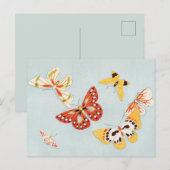 Carte postale papillon vintage (Devant / Derrière)