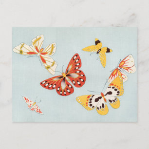 Carte postale papillon vintage