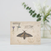 Carte postale papillon vintage (Debout devant)