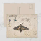 Carte postale papillon vintage (Devant / Derrière)