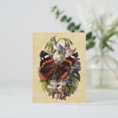 Carte postale papillon vintage (Debout devant)