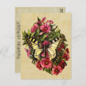 Carte postale papillon vintage (Devant / Derrière)