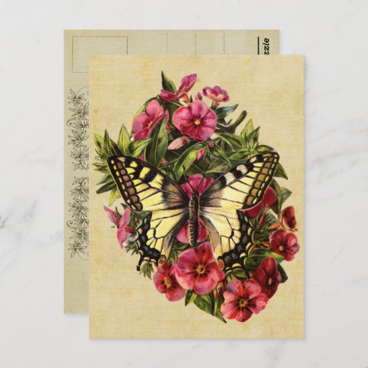 Carte postale papillon vintage (Devant / Derrière)