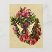 Carte postale papillon vintage (Devant)