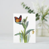 Carte Postale Papillon vintage (Debout devant)