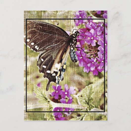 Carte Postale Papillon vintage à fleurs (Devant)