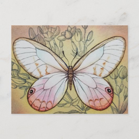 Carte Postale Papillon vintage no 6 Aquarelle Art (Devant)