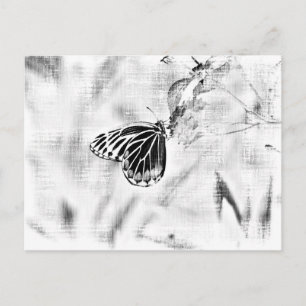 Carte Postale Papillon vintage sur fleur - Noir et Blanc