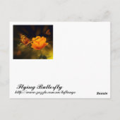 Carte Postale Papillon volant d'or (Dos)