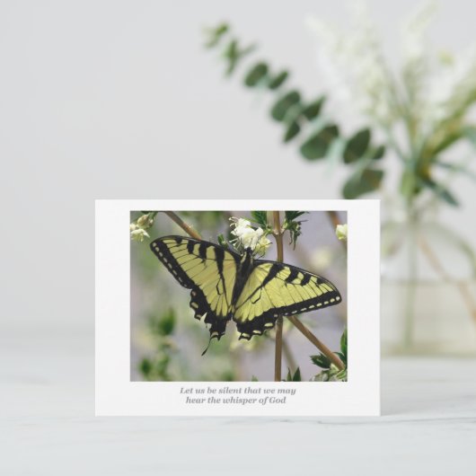 Carte Postale Papillon Whisper (Debout devant)