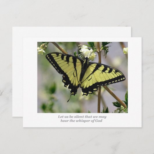 Carte Postale Papillon Whisper (Devant / Derrière)