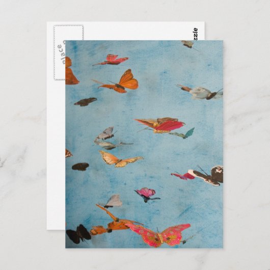 Carte Postale Papillons (Devant / Derrière)