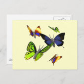 Carte postale Papillons (Devant / Derrière)
