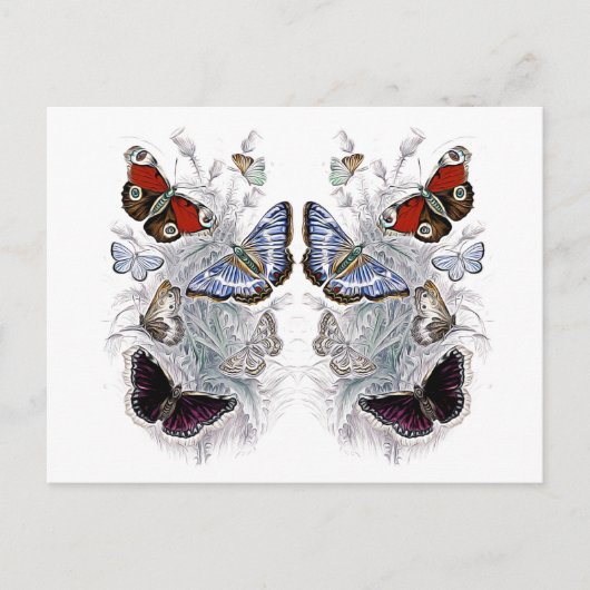 Carte Postale papillons (Devant)