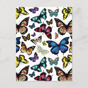 Carte Postale Papillons