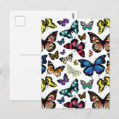 Carte Postale Papillons (Devant / Derrière)