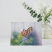 Carte postale Papillons (Debout devant)