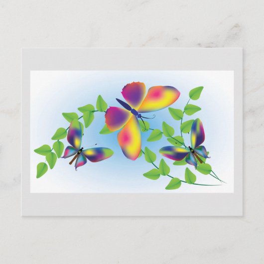 Carte Postale Papillons (Devant)
