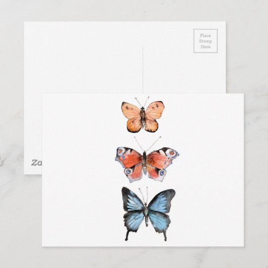 Carte Postale Papillons (Devant / Derrière)