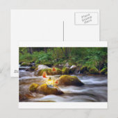 Carte Postale Papillons (Devant / Derrière)