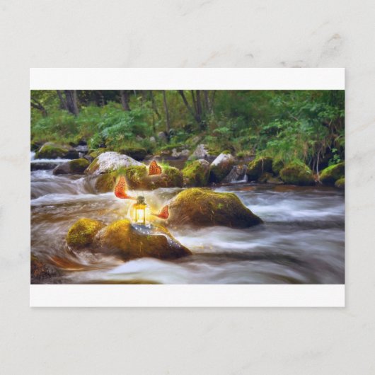 Carte Postale Papillons (Devant)