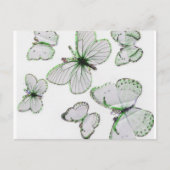 carte postale papillons (Devant)