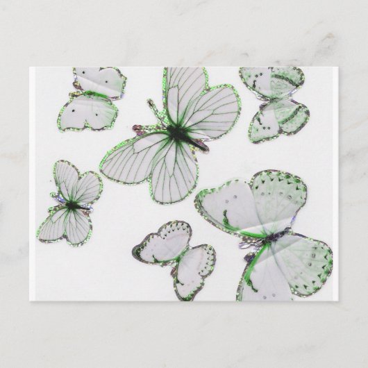 carte postale papillons (Devant)