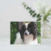 Carte Postale Papillons (Debout devant)