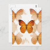 Carte Postale Papillons (Devant / Derrière)